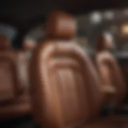 Luxurious leather car seats