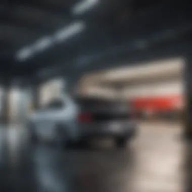 Different types of garage door openers categorized by brand