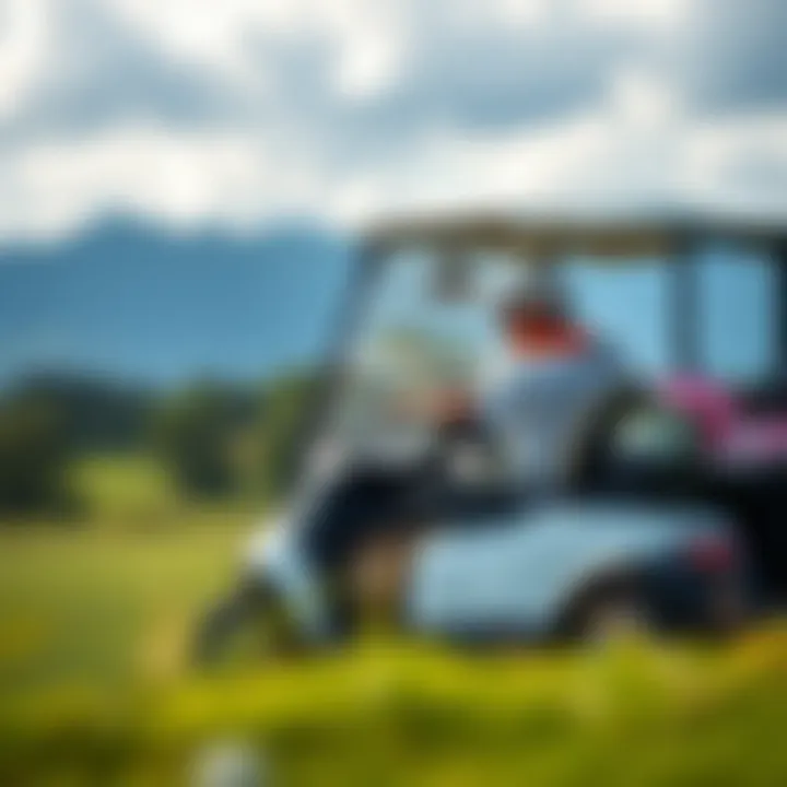 A golfer enjoying a scenic view while using a hybrid golf car on the course