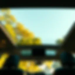 Kia Carnival sunroof view from inside