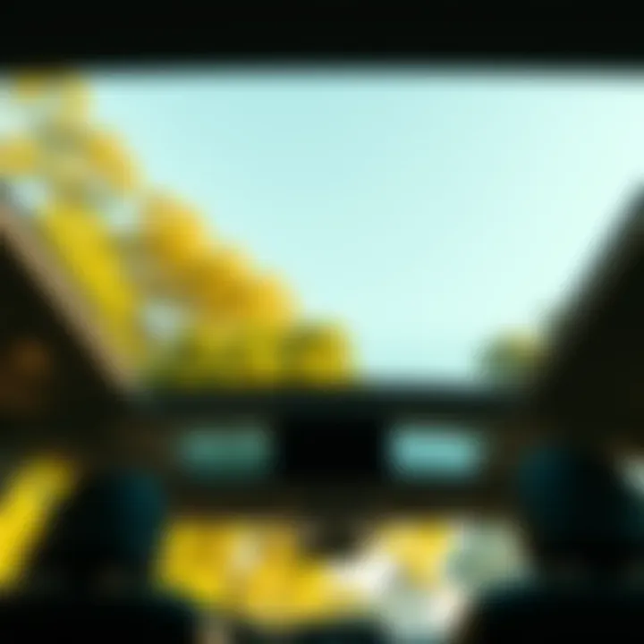 Kia Carnival sunroof view from inside