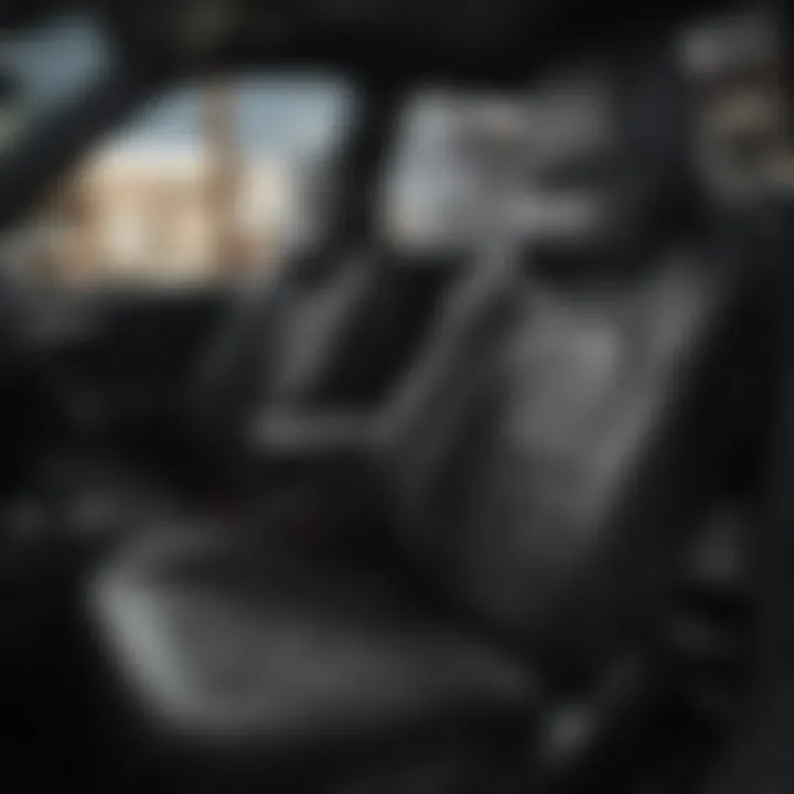 Various black leather seat cleaning products displayed